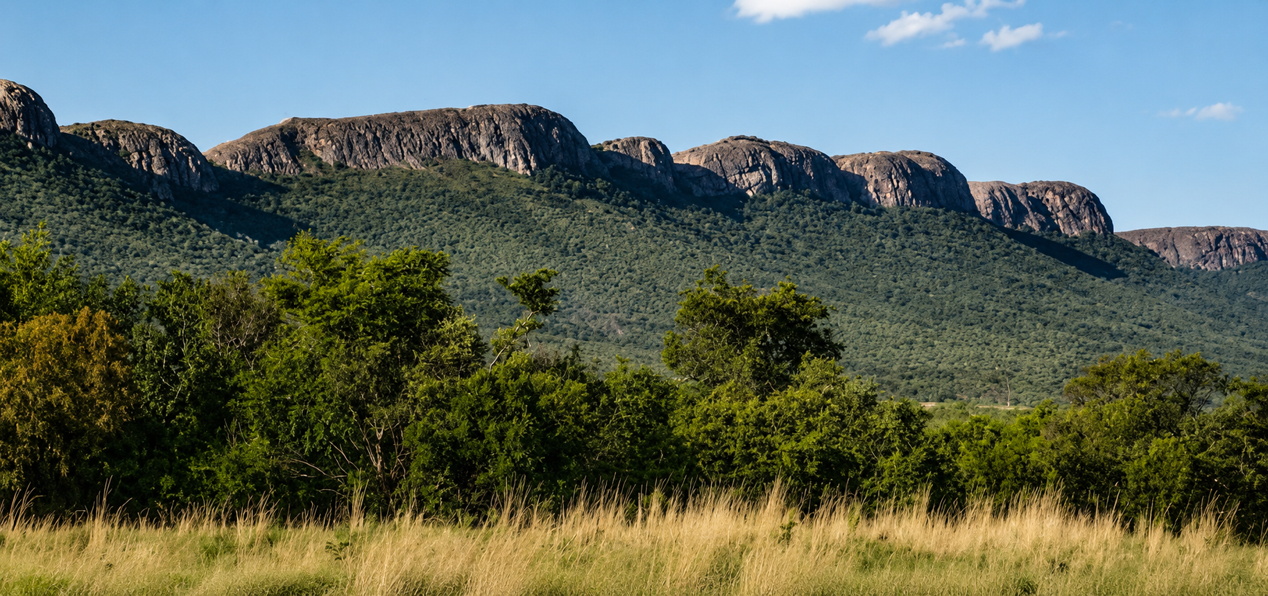 Mountain Views